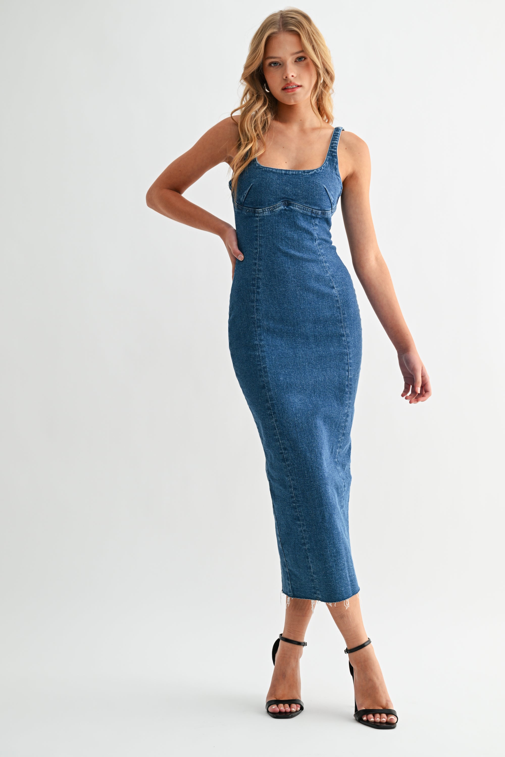 Seamed Denim Dress