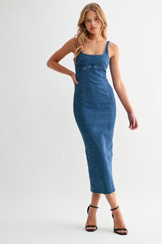 Seamed Denim Dress